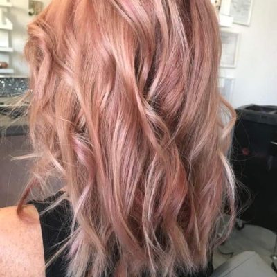 323705530_1224647038131064_8472196469414016127_n