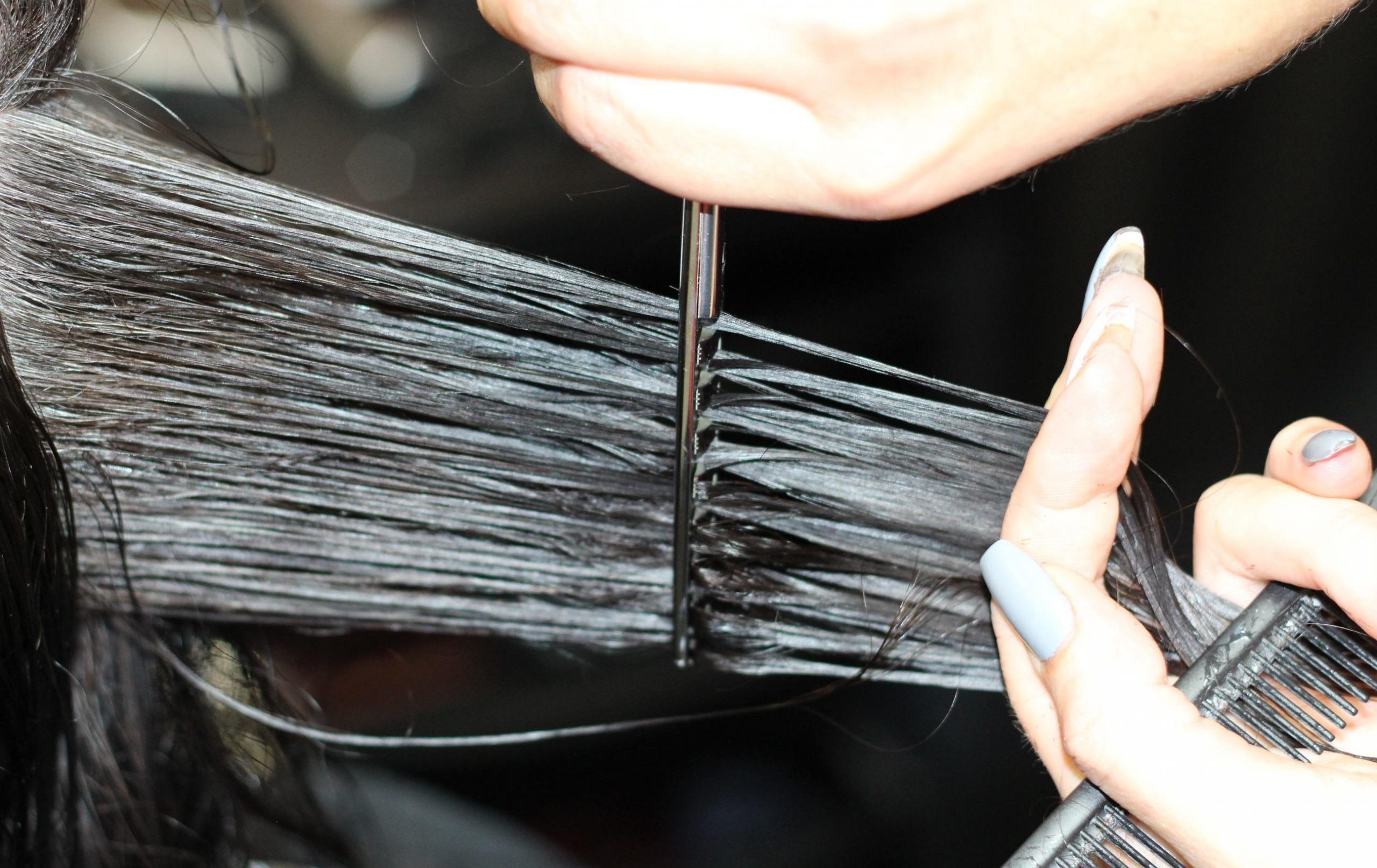 hairdressing-1516352